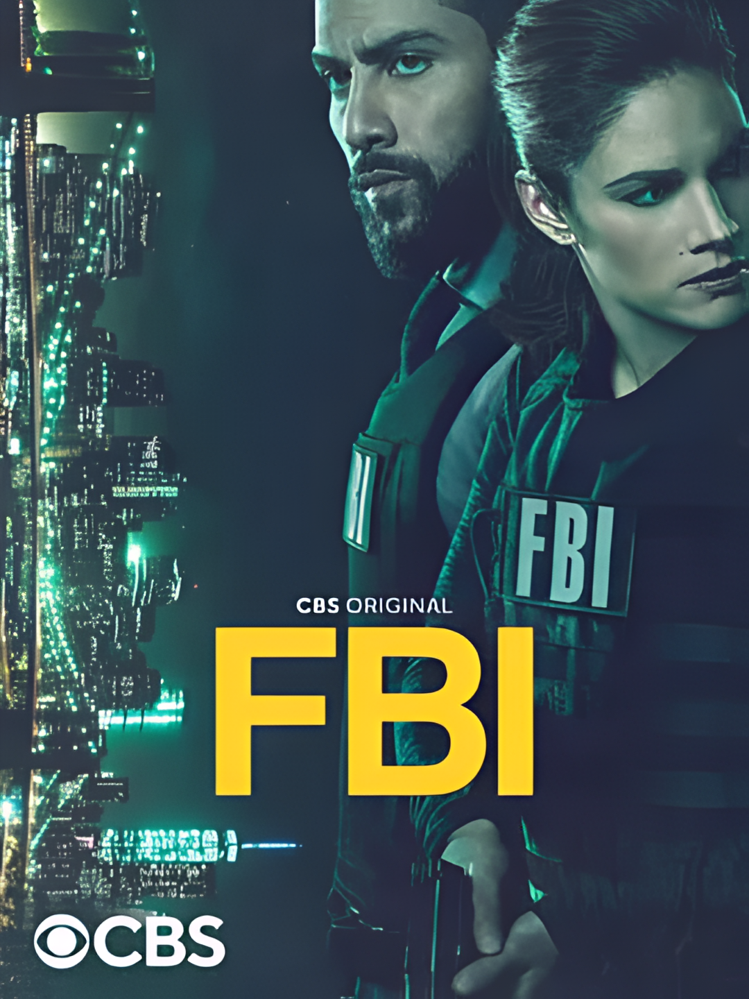联邦调查局 第五季