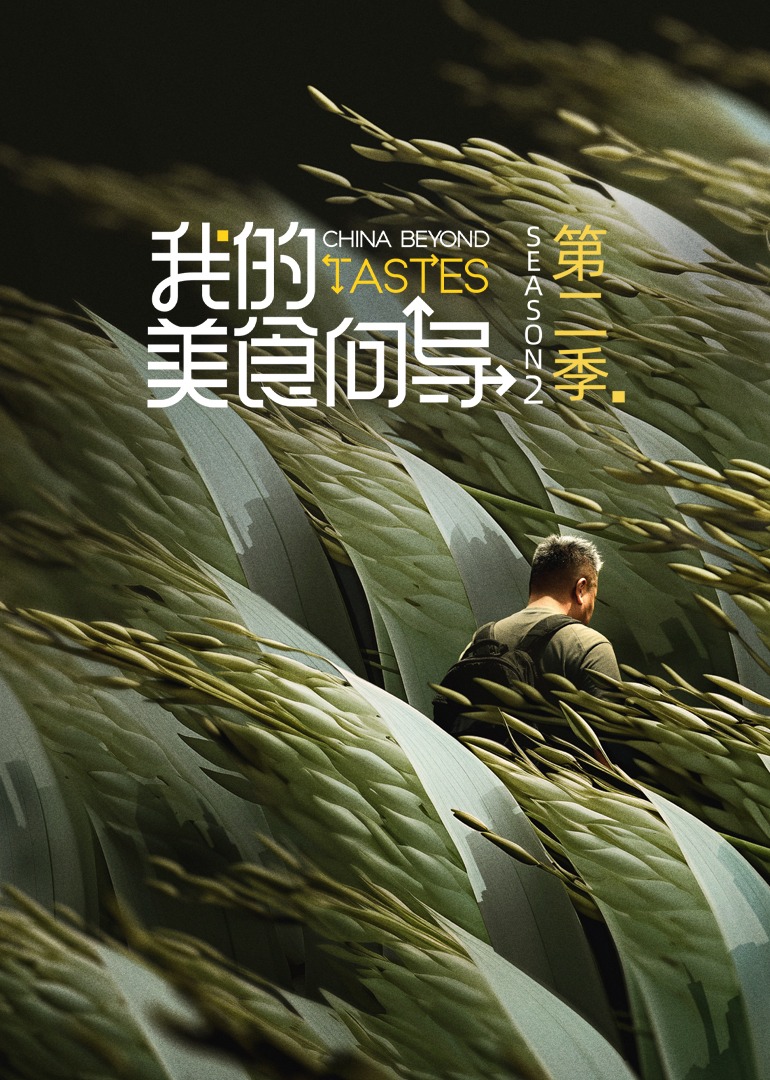 我的美食向导 第2季