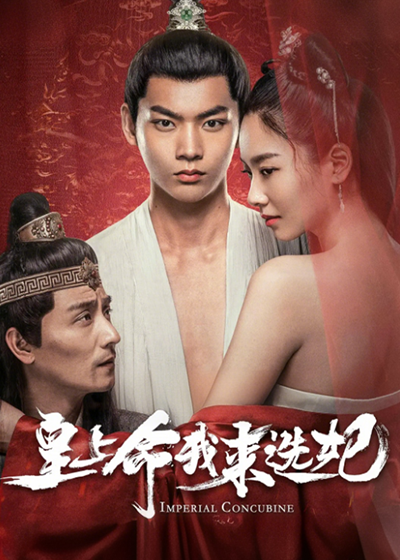 皇上命我来选妃