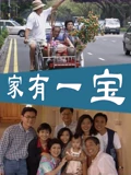 家有一宝