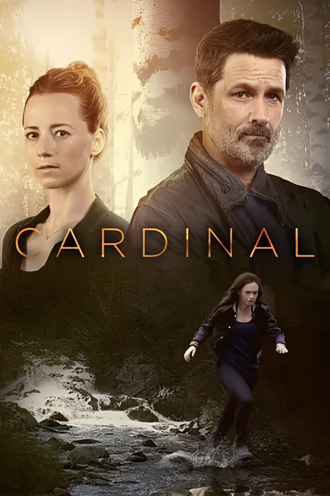 冰血缉凶 第二季