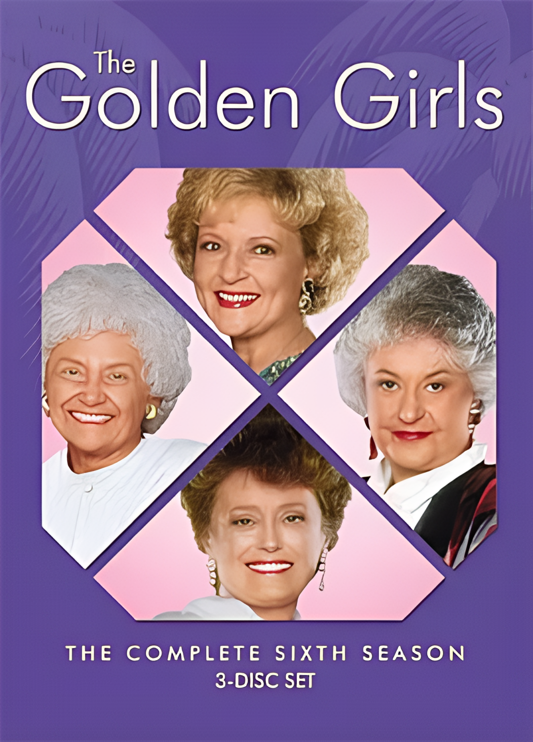 黄金女郎 第六季