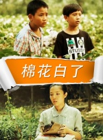 棉花白了