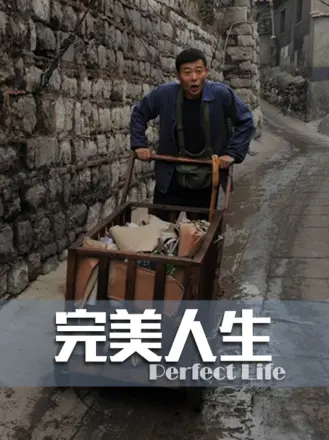 完美人生