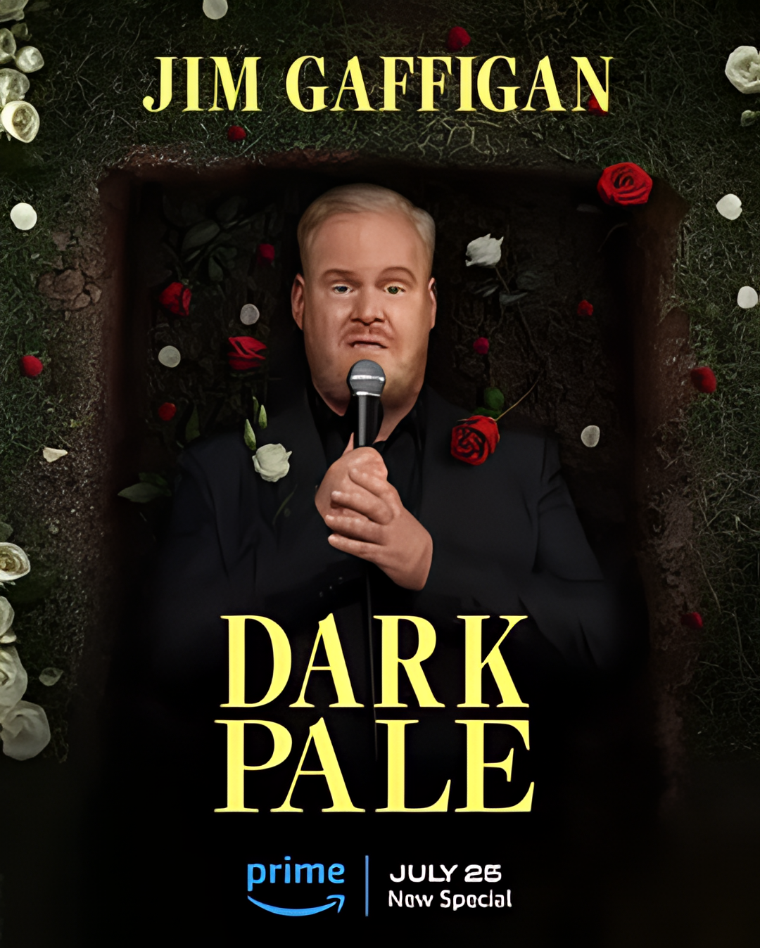 吉姆加菲根：暗淡