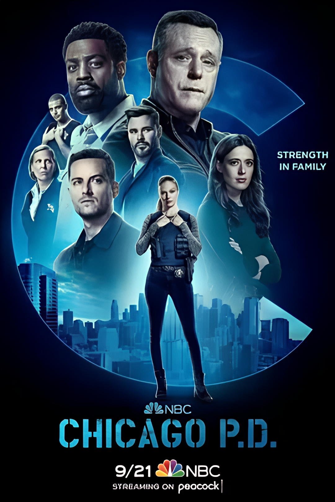 芝加哥警署 第十季