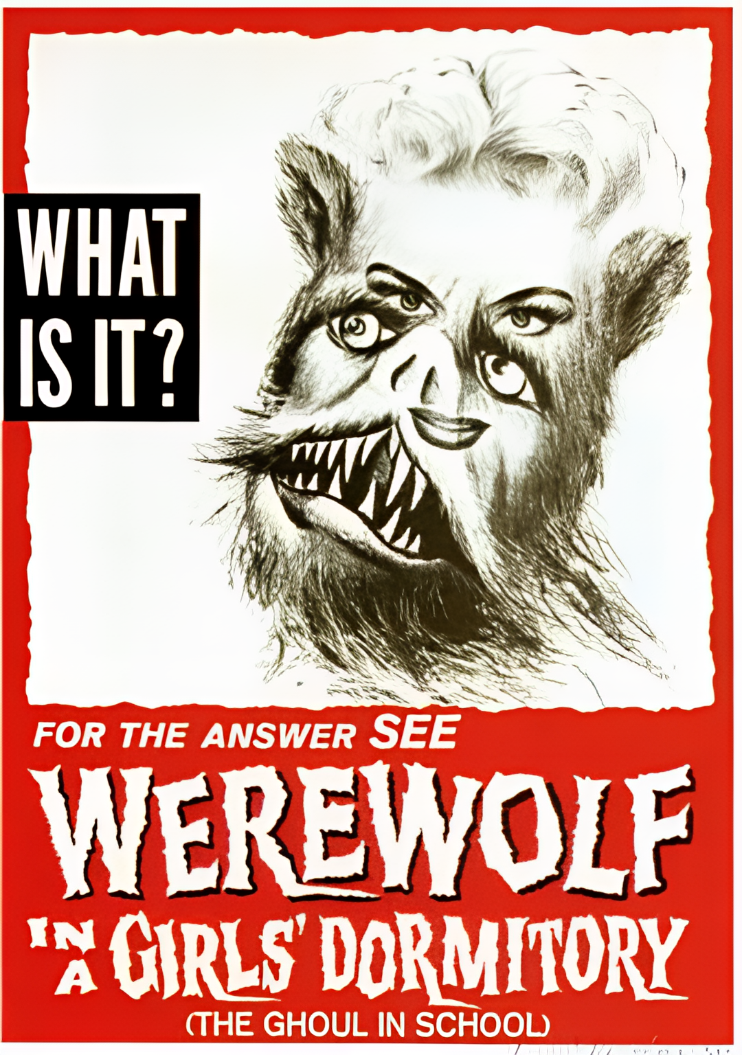 Werewolf In A Girl's Dormitory