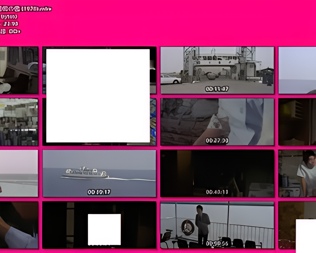 ザ・コールガール 情痴の檻